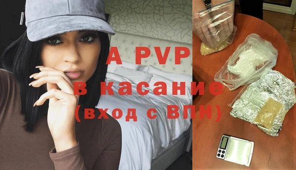 прущие грибы Кукмор