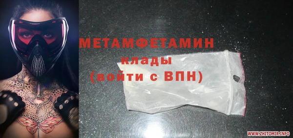 прущие грибы Кукмор