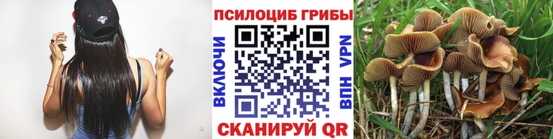 Псилоцибиновые грибы Psilocybine cubensis Купить закладки Уссурийск